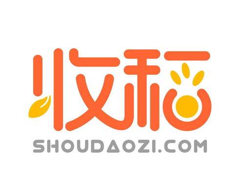 收稻網(wǎng)絡(luò)科技 立足上海，引領(lǐng)計(jì)算機(jī)軟硬件技術(shù)開(kāi)發(fā)新篇章